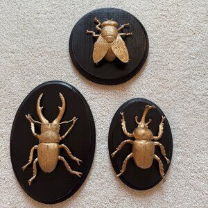 Set of 3 Gold Faux Insect Taxidermy